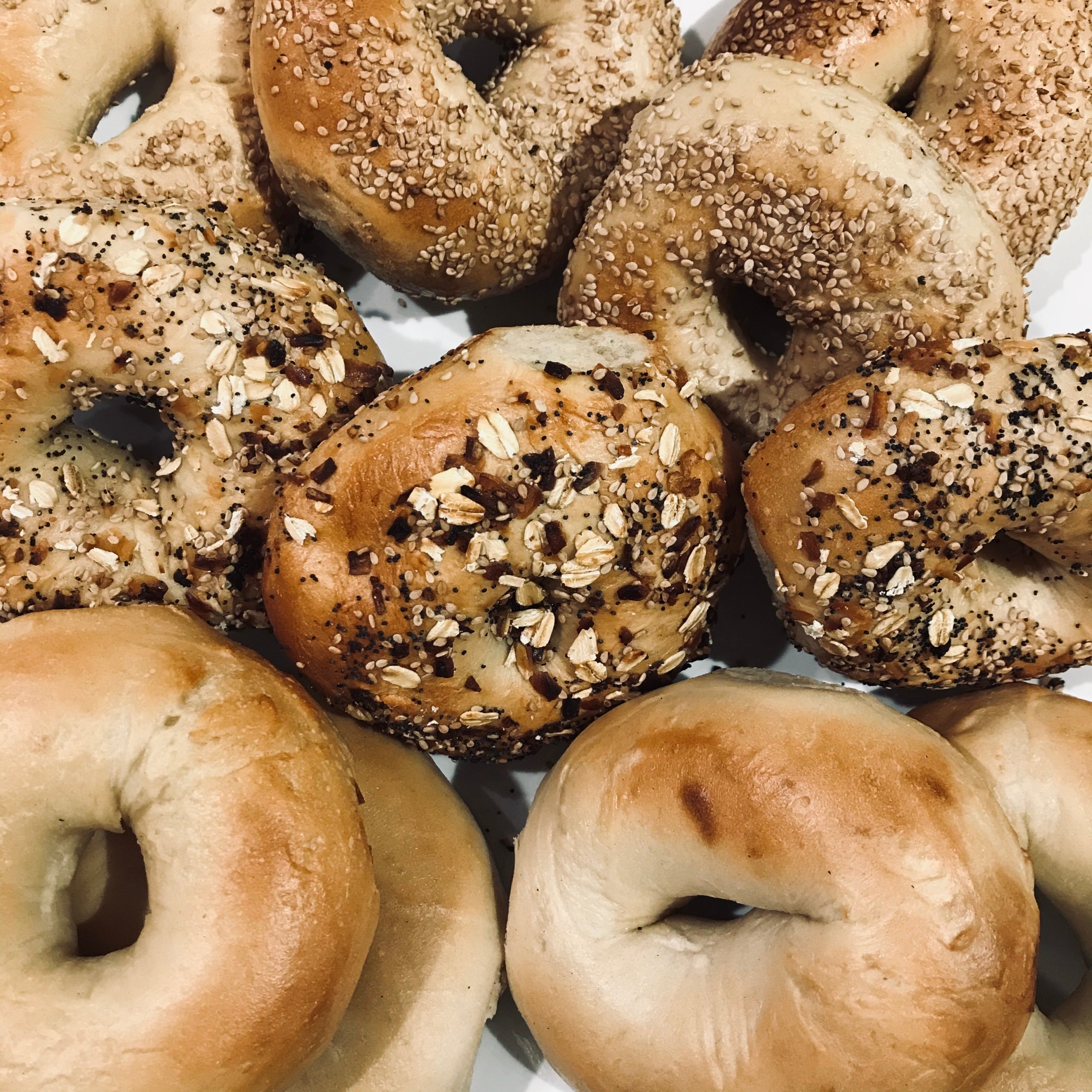 Bagels by the Dozen The Savory Gourmet